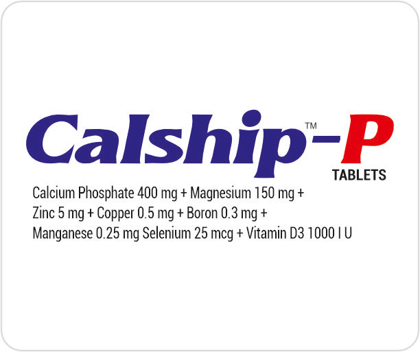 CALSHIP